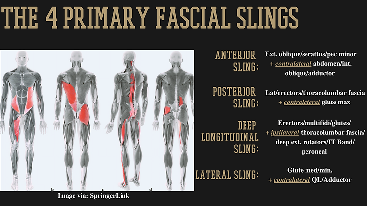 Why Functional Fitness is like the Power Rangers 1 8f0658 e6ba9dad82c341bc937f02d047c33dfamv2
